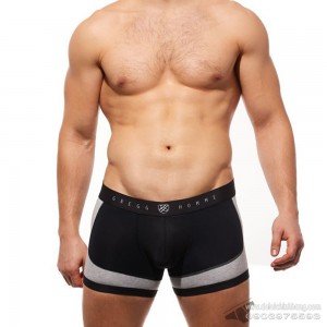 Quần lót nam Gregg Homme 190555 Room Max Gym Boxer Brief Black